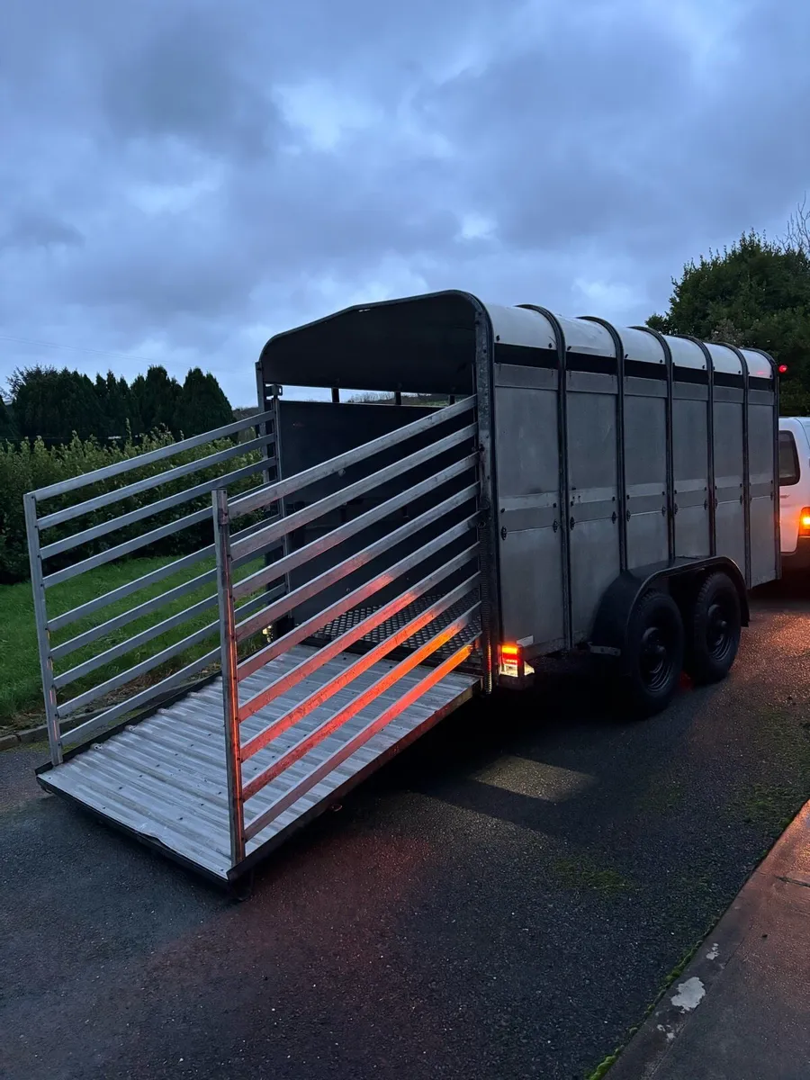 Ifor williams 12x6 cattle box - Image 2