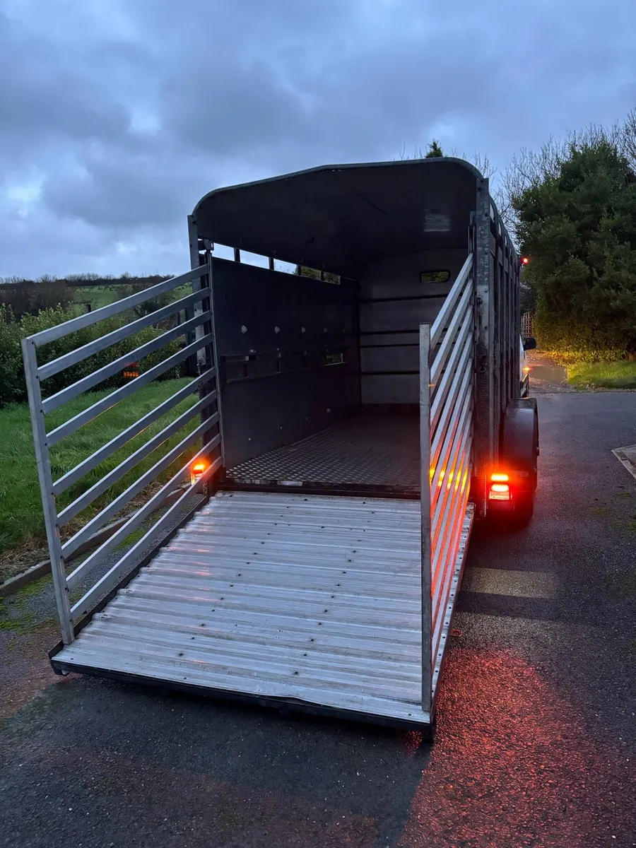 Ifor williams 12x6 cattle box - Image 3