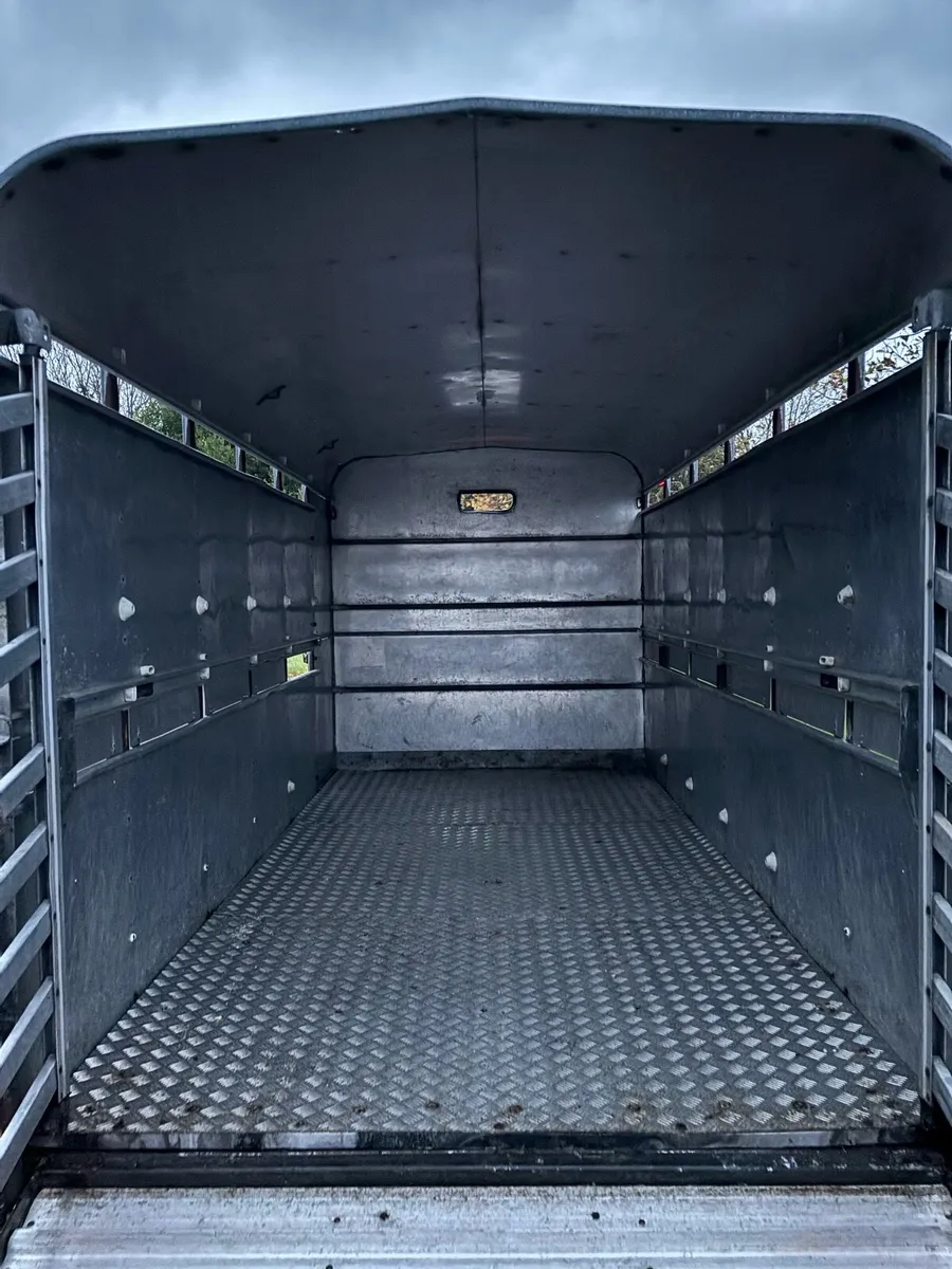 Ifor williams 12x6 cattle box - Image 4