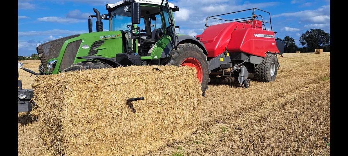 Wheat and  oat straw - Image 1