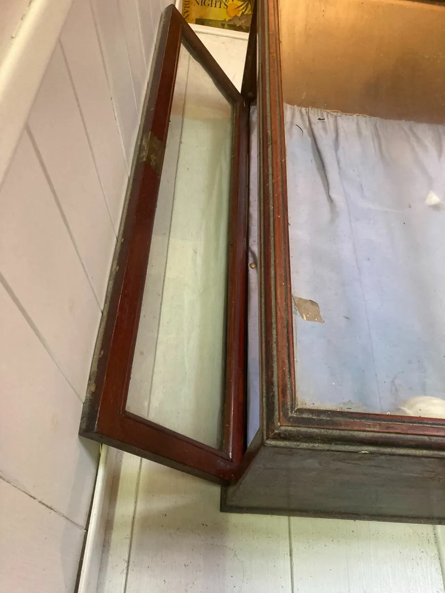 Antique Glass Display Case - Shop Display. - Image 3