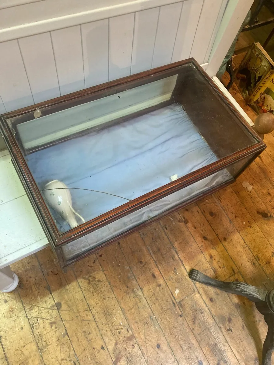 Antique Glass Display Case - Shop Display. - Image 4