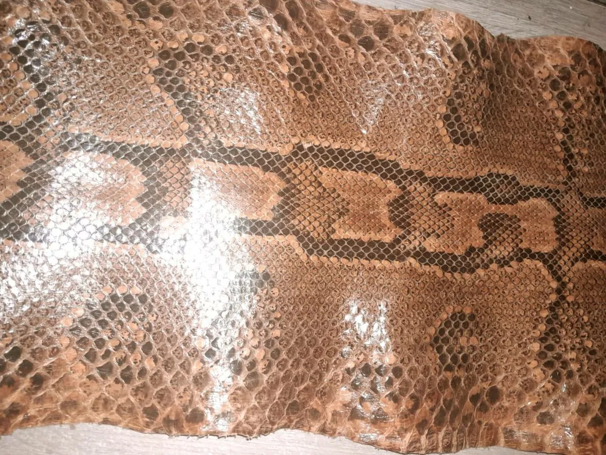 Genuine Python hide 4m long - Image 3
