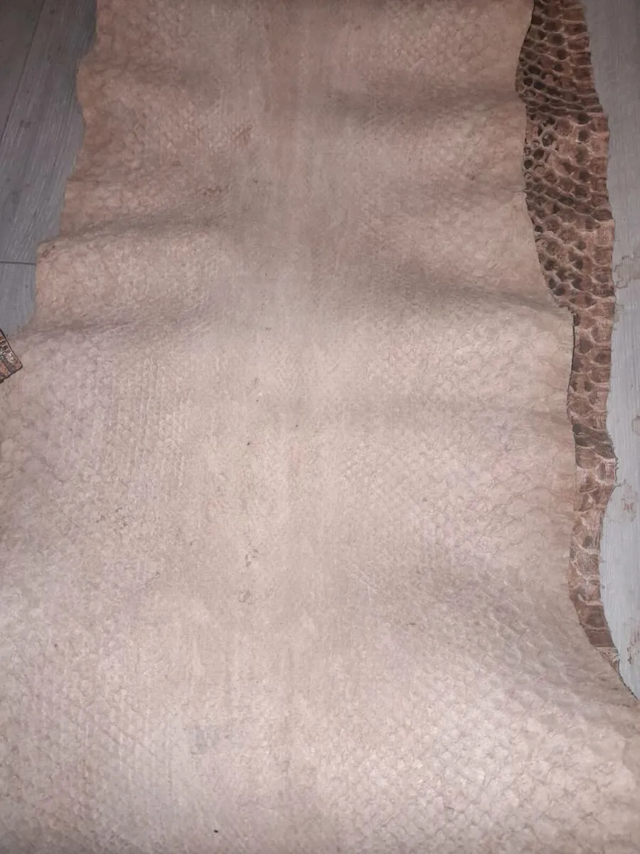 Genuine Python hide 4m long - Image 4