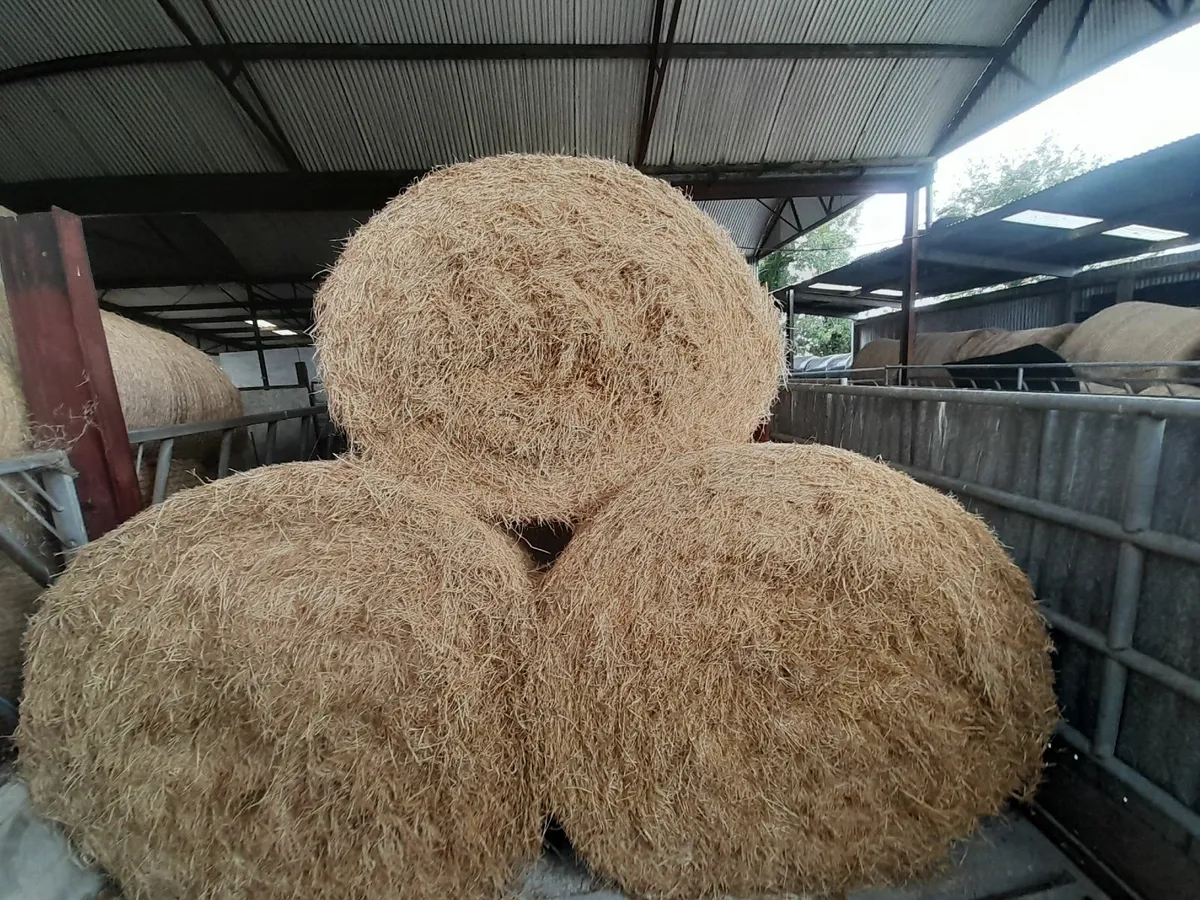 Hay and haylage - Image 2