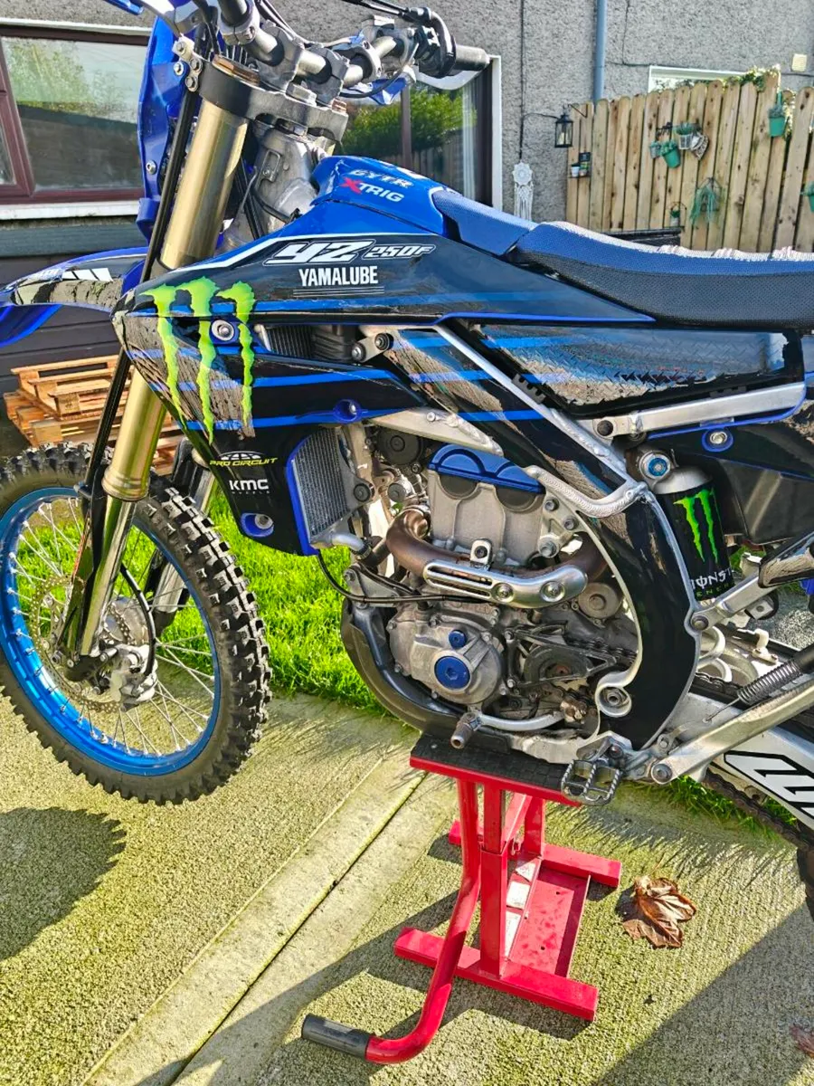 WR 250 - Image 3