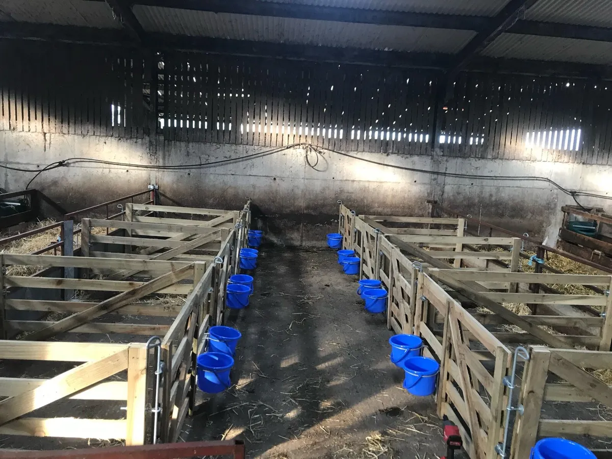 Sheep equipment - Image 4