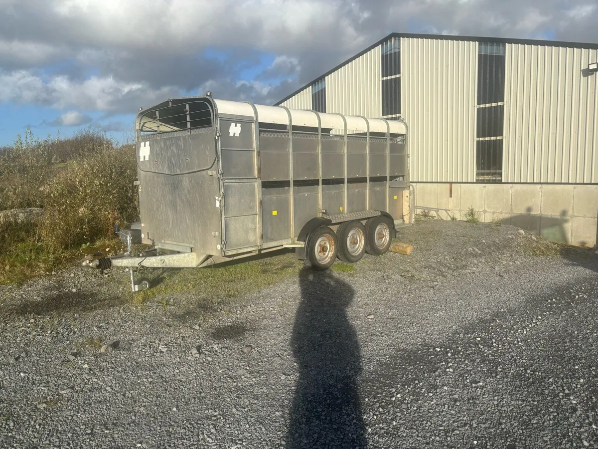 Hudson 14x6 Tri Axle with Decks - Image 1