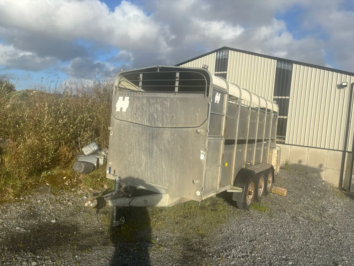 Hudson 14x6 Tri Axle with Decks - Image 2