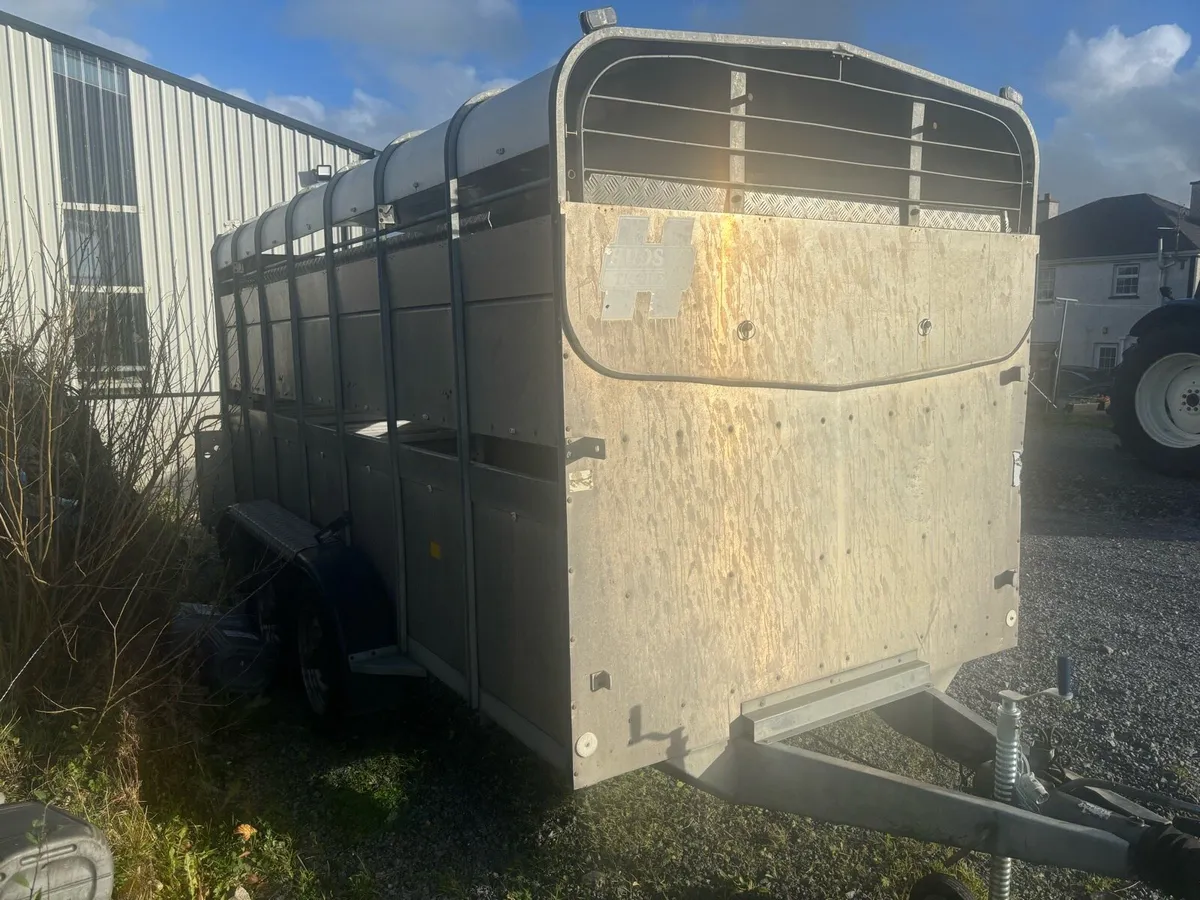 Hudson 14x6 Tri Axle with Decks - Image 3