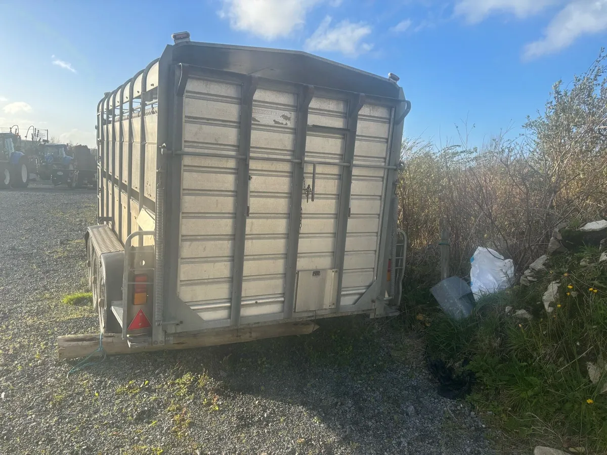 Hudson 14x6 Tri Axle with Decks - Image 4