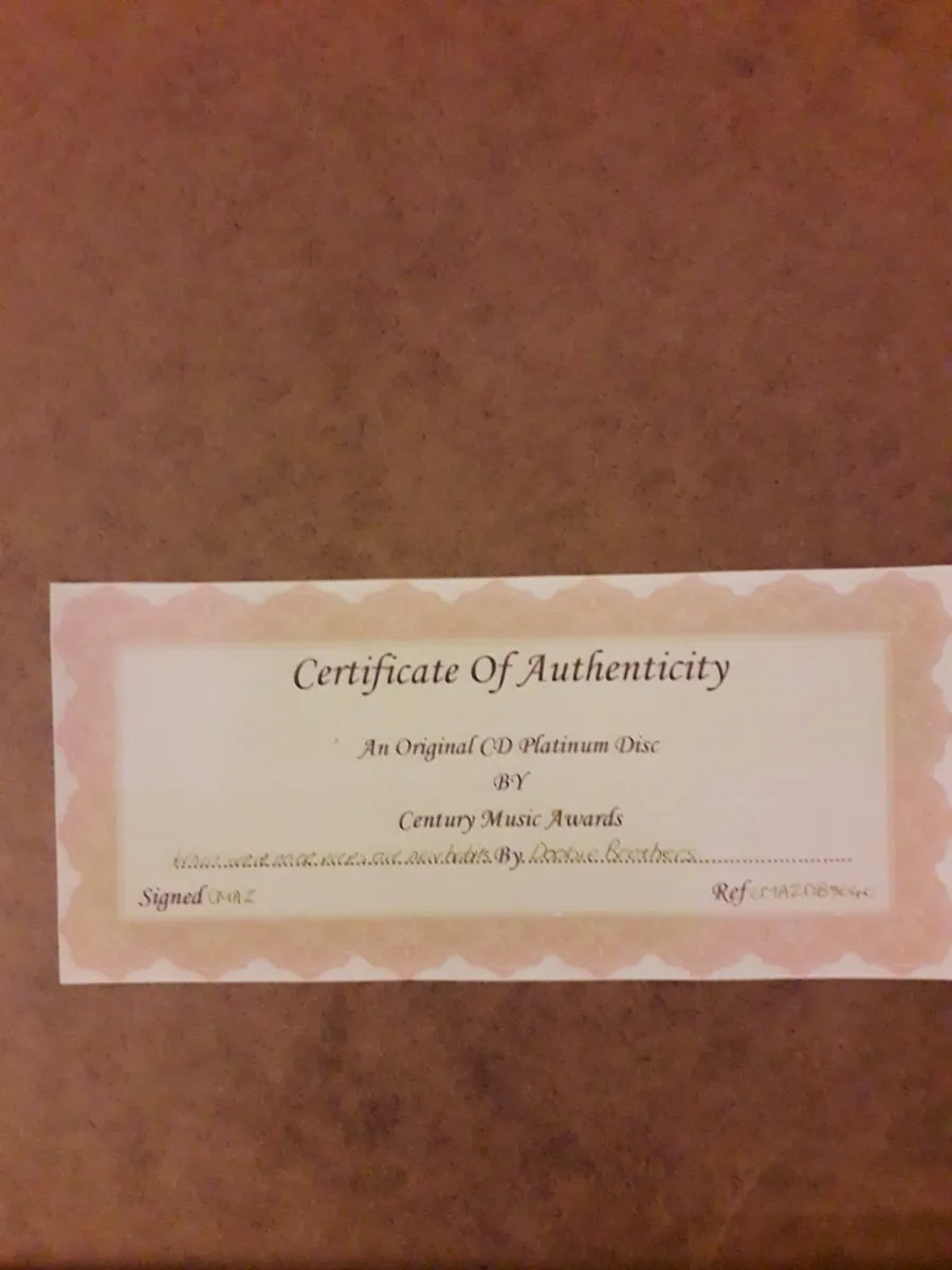 Doobies Brothers Platinum Disc Limited Edition - Image 3