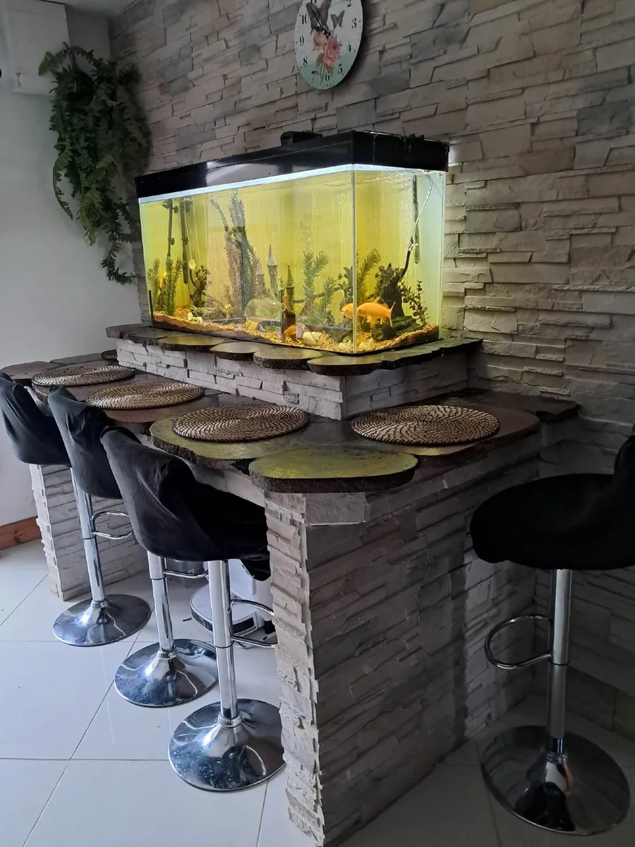 Aquarium with extras - Image 1