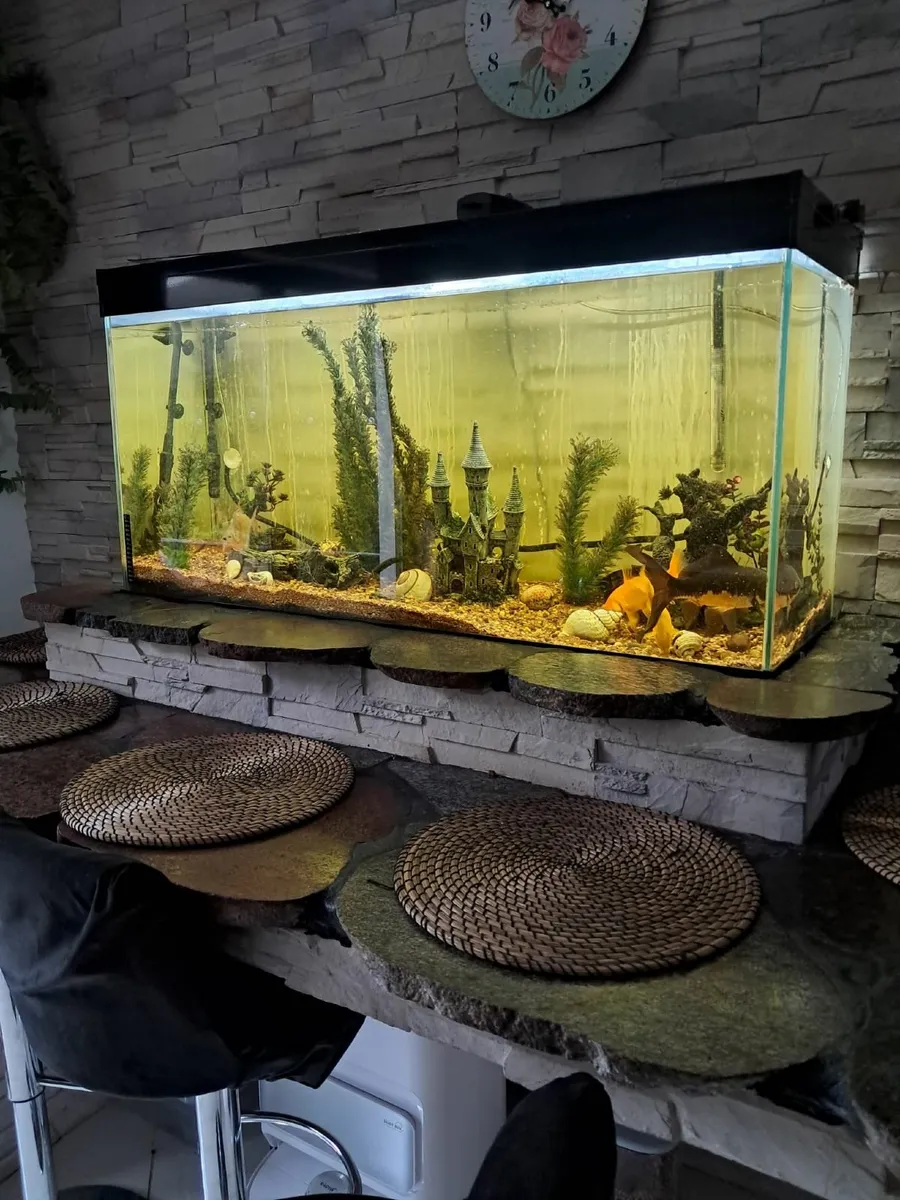 Aquarium with extras - Image 2