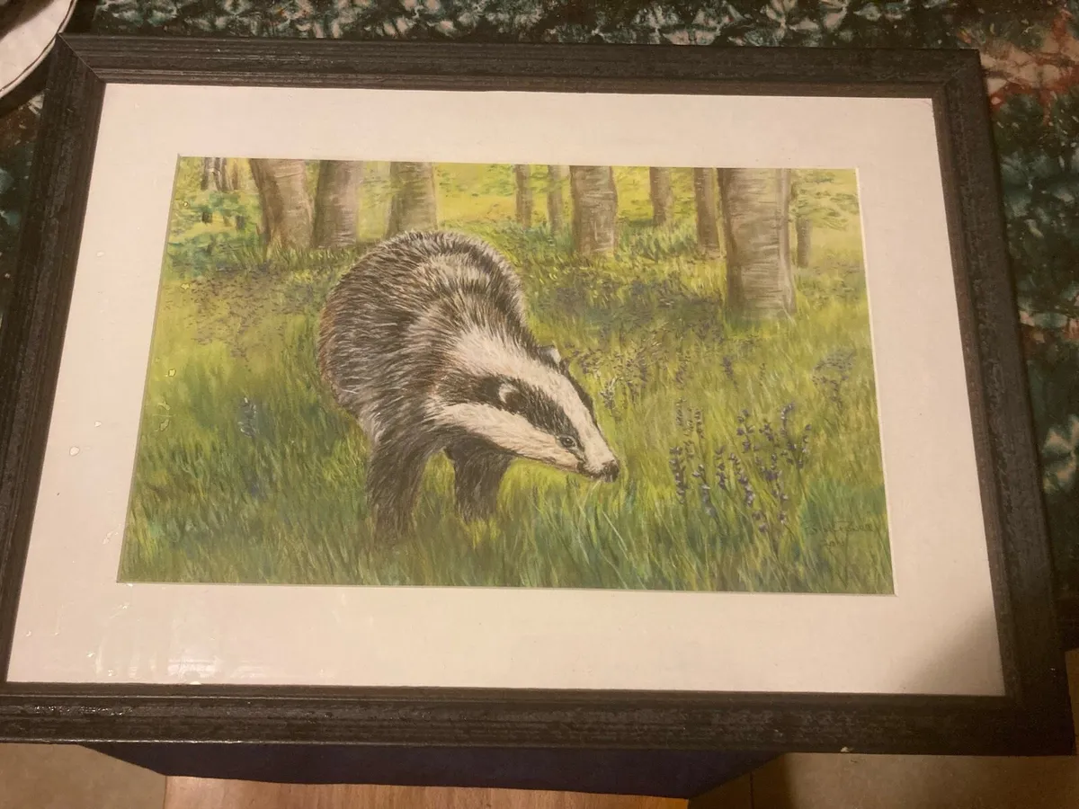 Coloured pencil Artwork signed and framed