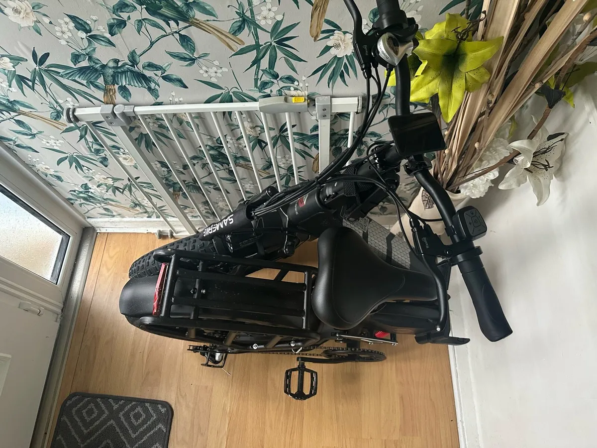 Electric Bike - Image 4