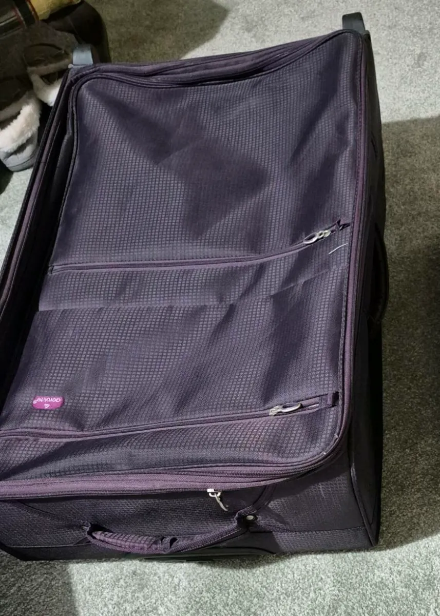 Large suitcase - Image 1