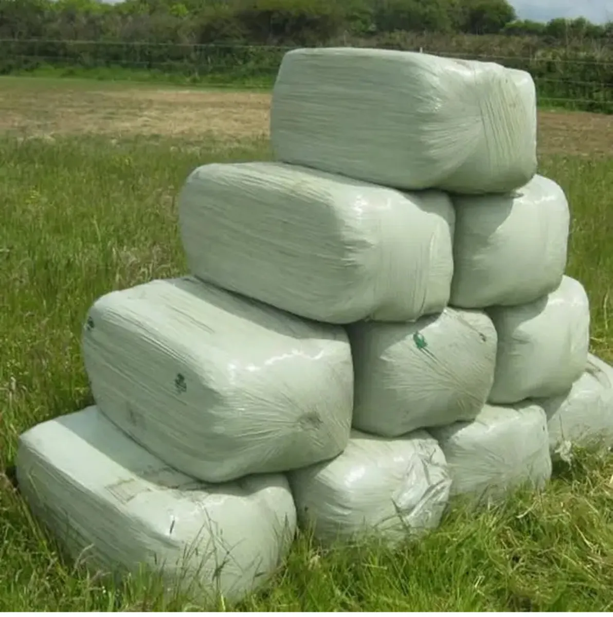 Small square bale haylage