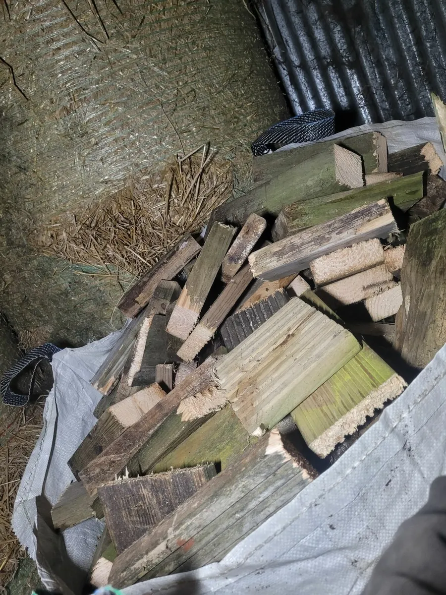 Firewood - Image 3