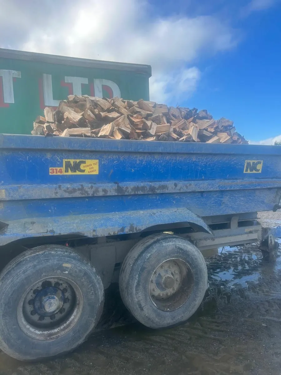 Timber for Sale - Image 1