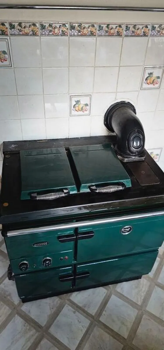 Stanley Gas boiler and Stove - Image 2