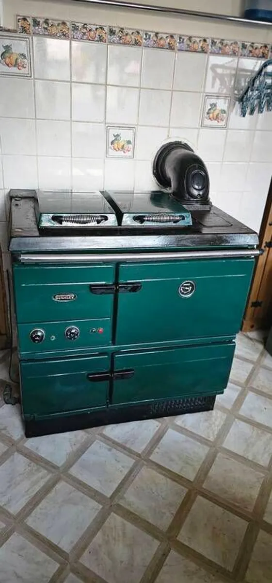 Stanley Gas boiler and Stove - Image 3