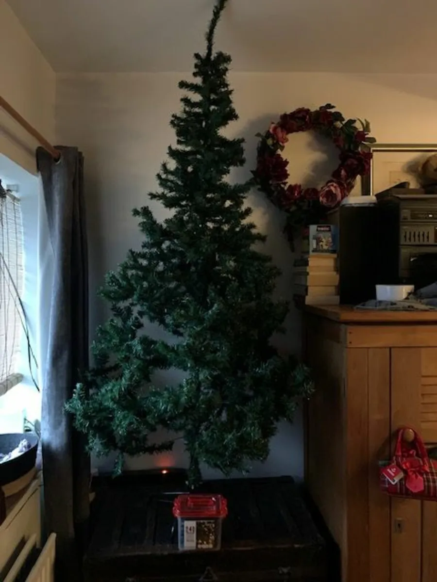 Christmas Tree and Lights - Image 1