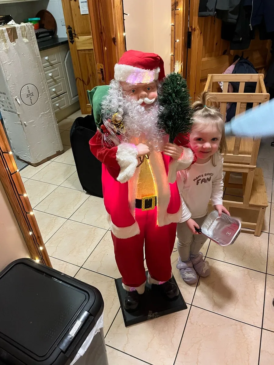 Animated Santa - Image 1