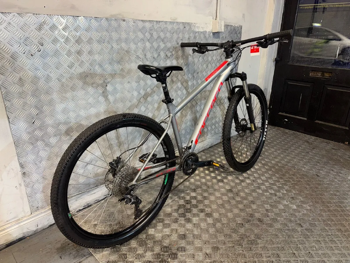 Carrera Sulcata ❗️Open 7 days of the week ❗️ no - Image 2