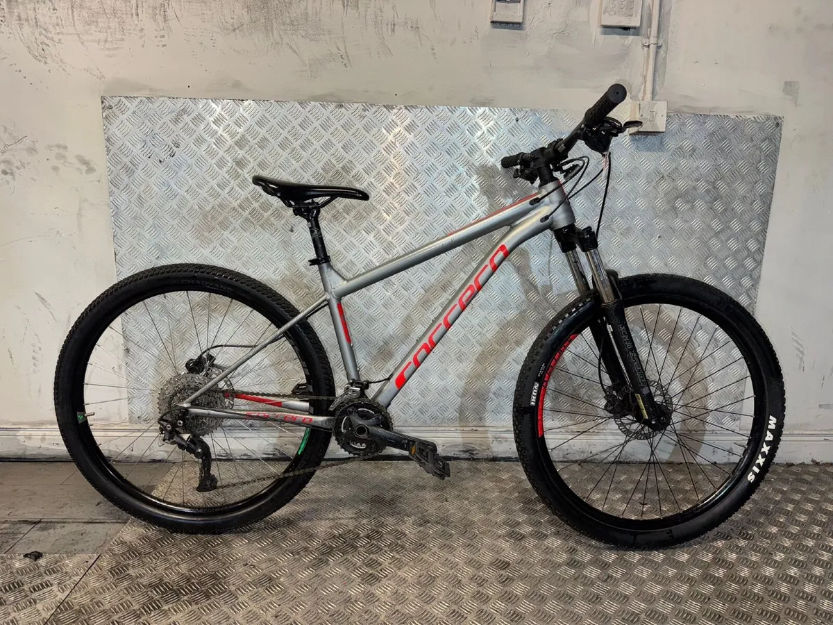 Carrera Sulcata ❗️Open 7 days of the week ❗️ no - Image 1