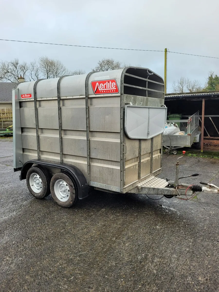 JIM MURPHY 2 COW TRAILER - Image 1