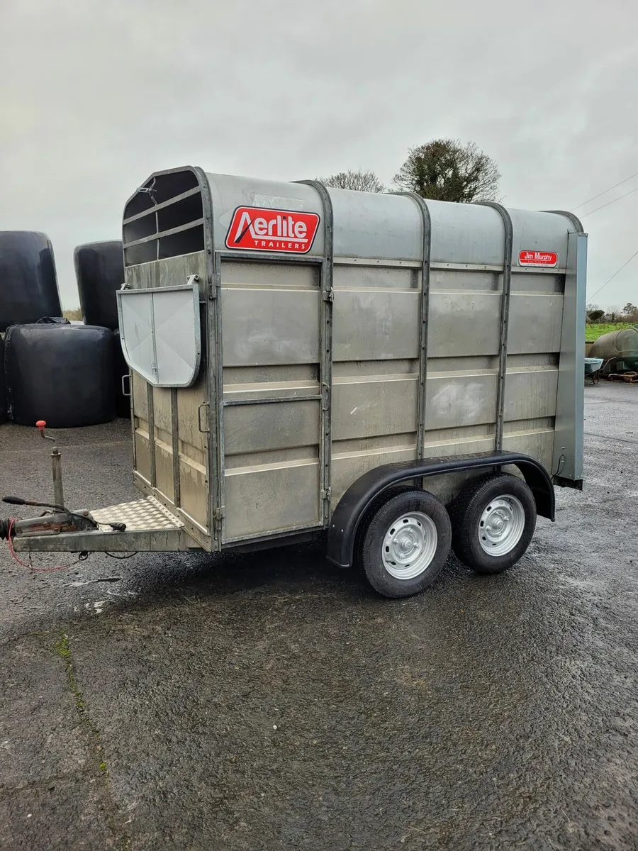 JIM MURPHY 2 COW TRAILER - Image 2