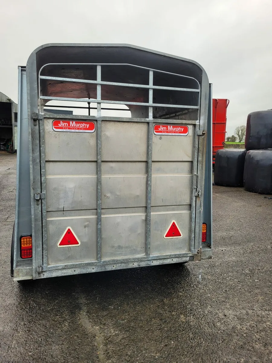 JIM MURPHY 2 COW TRAILER - Image 3