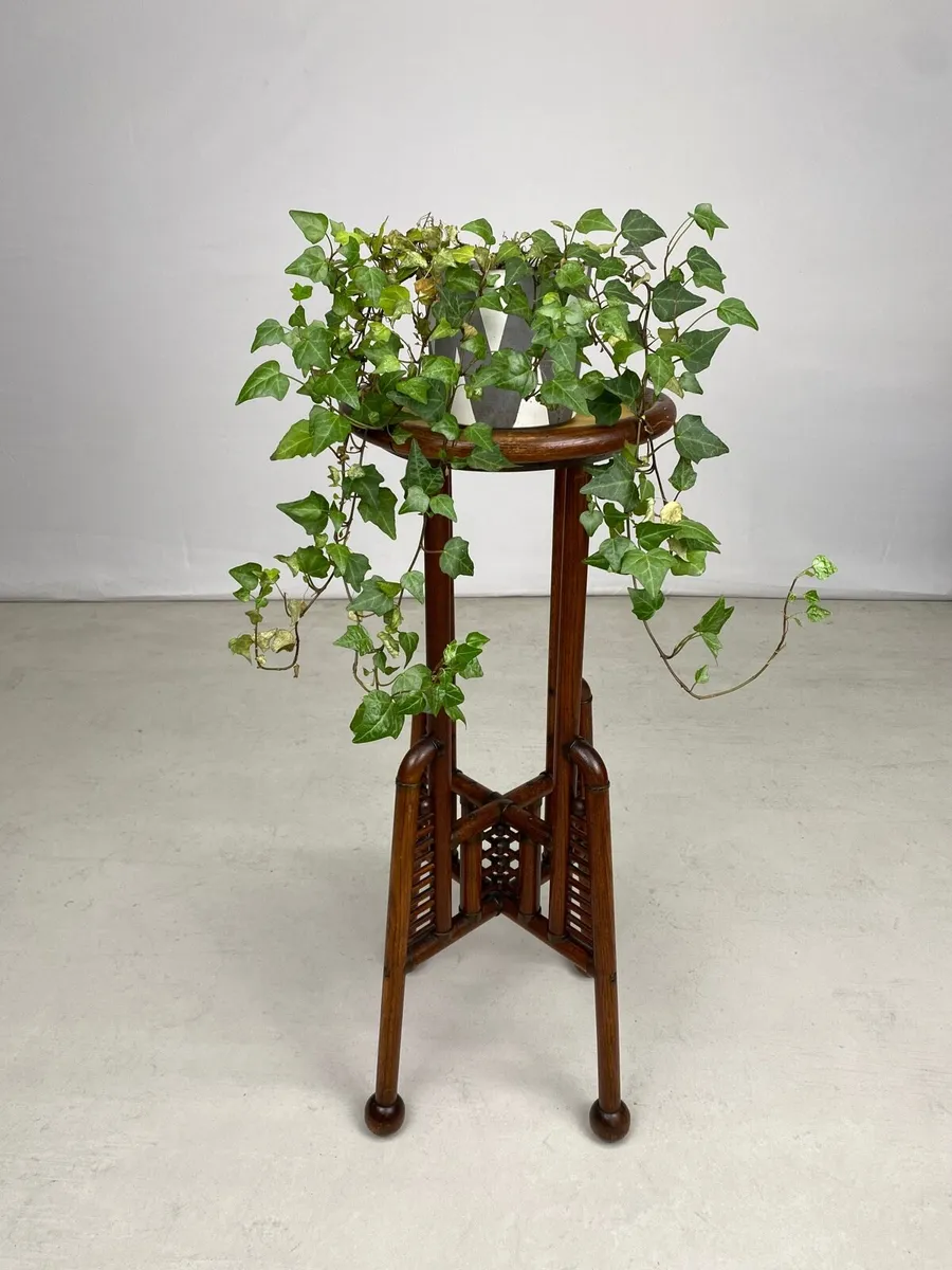 Vintage Secessionist Movement Bentwood Plant Stand - Image 2