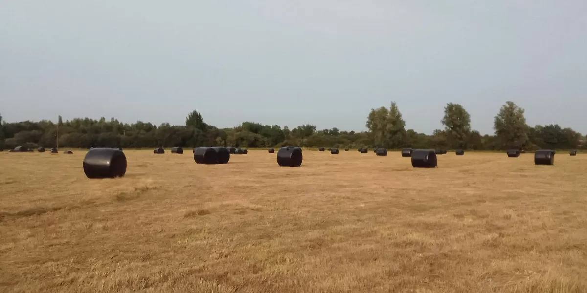 Bales of silage/haylage - Image 4