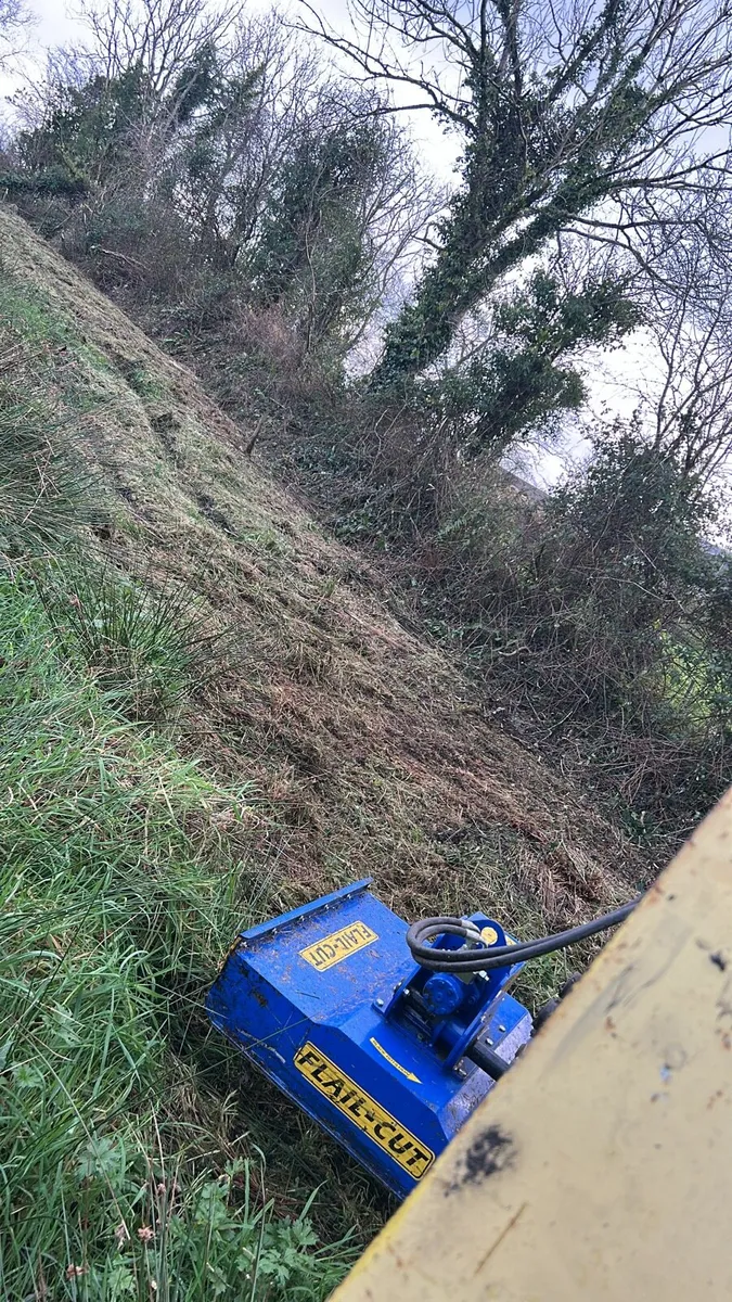 Ground clearance Hedgecutting - Image 2