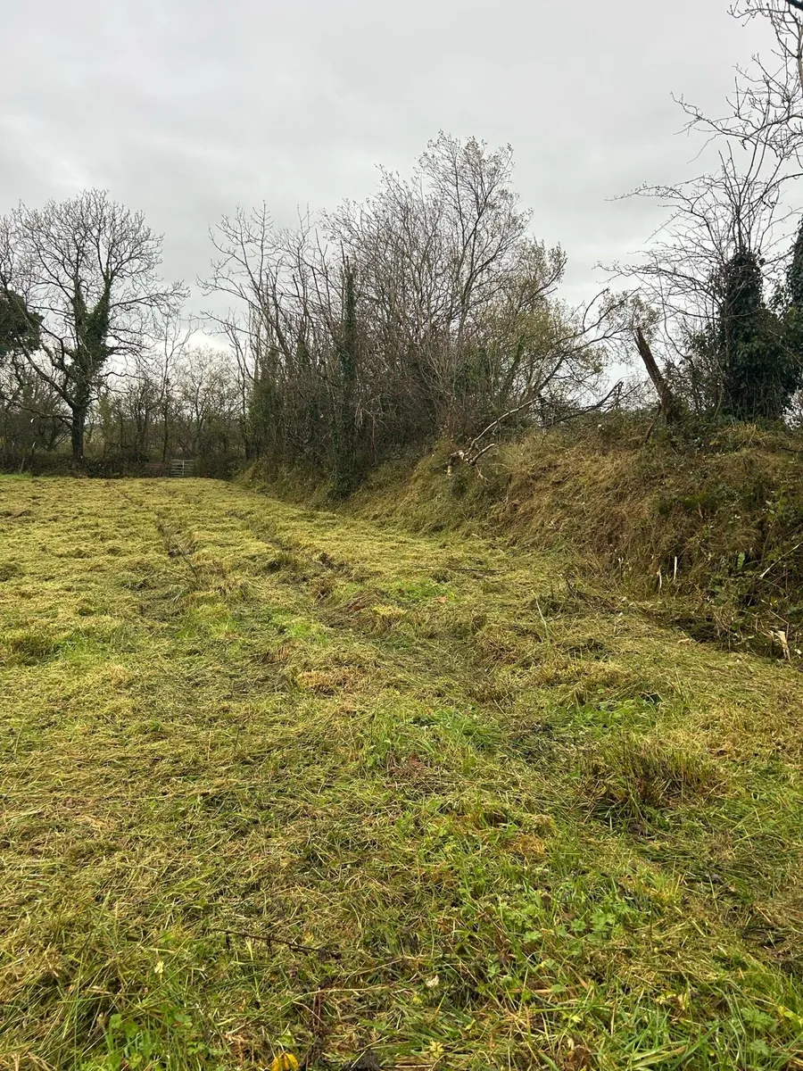 Ground clearance Hedgecutting - Image 1