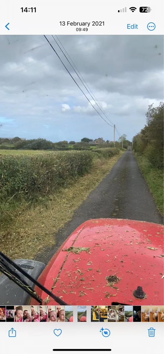 Ground clearance Hedgecutting - Image 3
