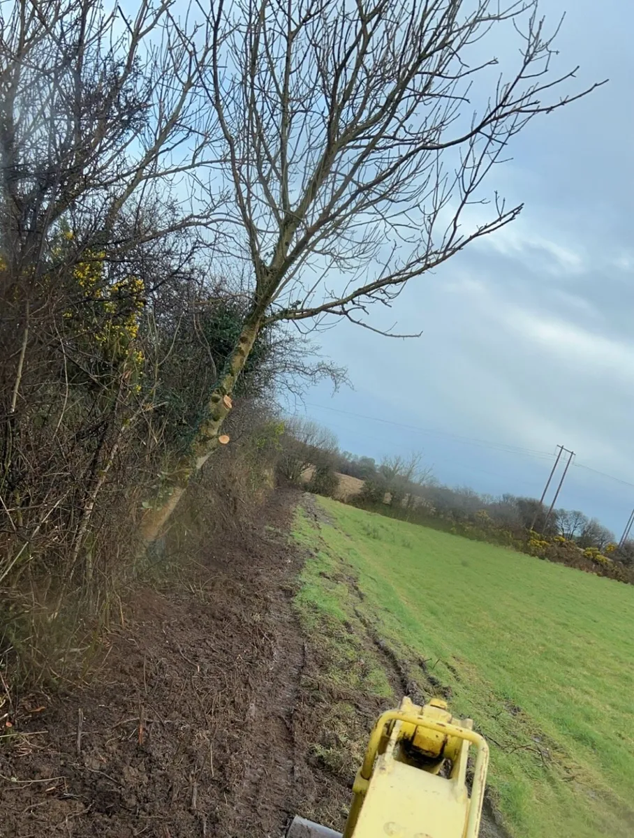 Ground clearance Hedgecutting - Image 4
