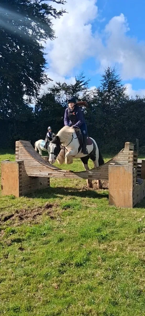 Amazing Allrounder Pony - Image 2