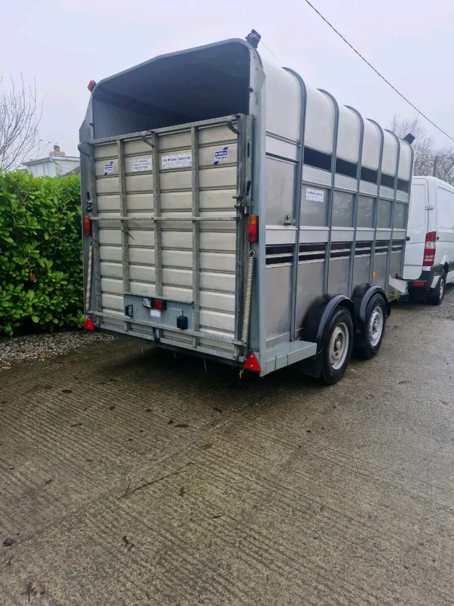 Ifor Williams Livestock Trailers horses - Image 1