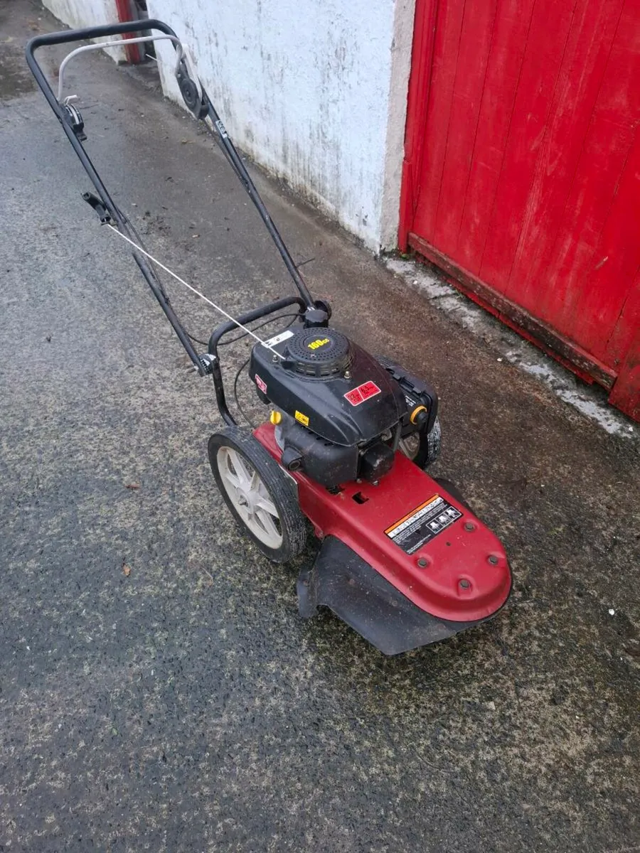 Walk behind strimmers - Image 1