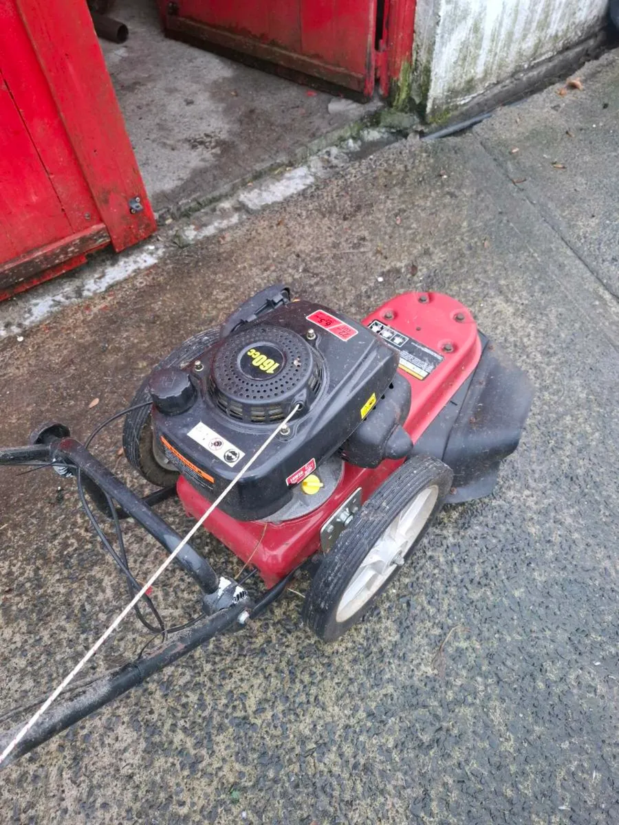 Walk behind strimmers - Image 2