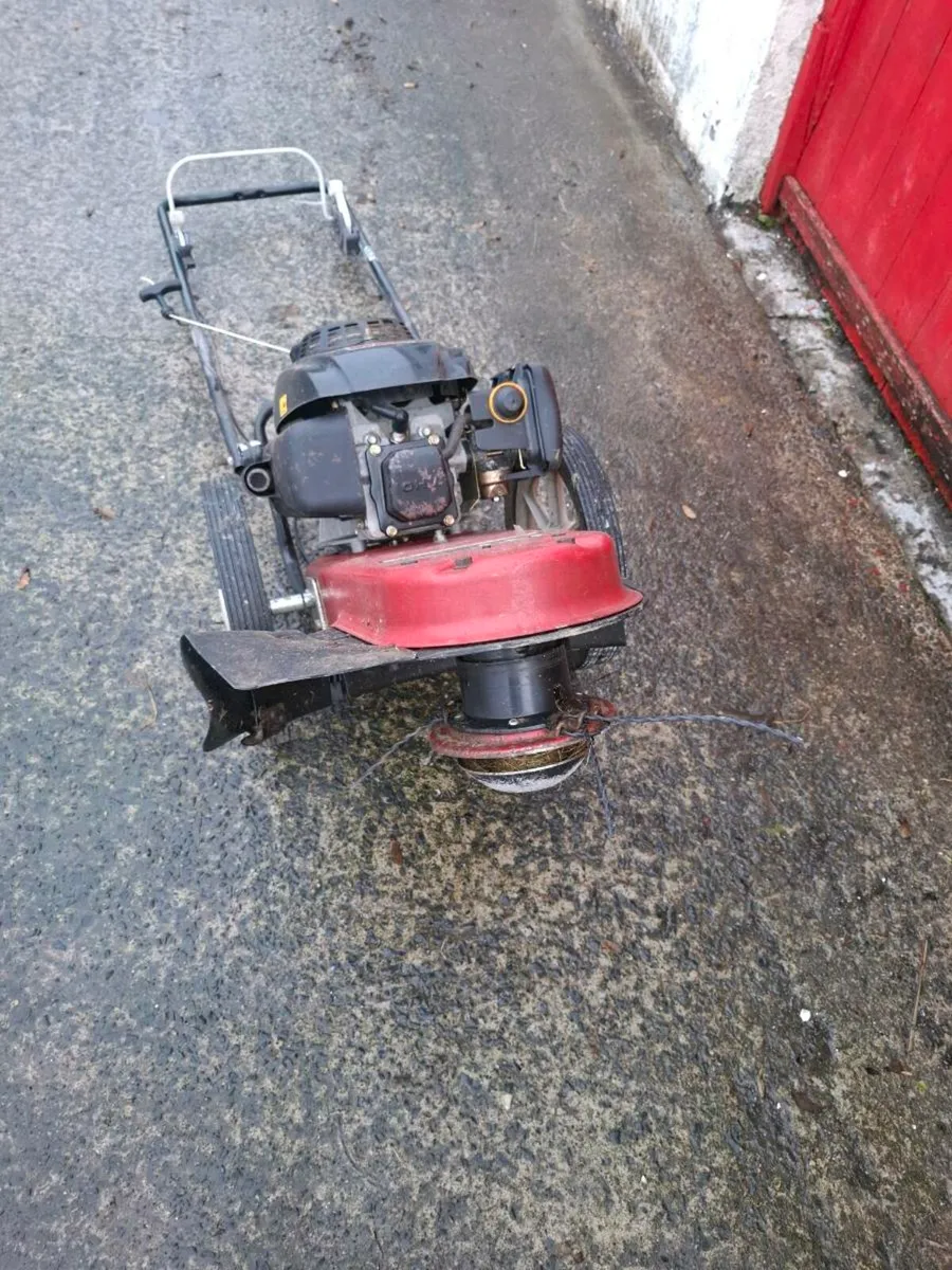 Walk behind strimmers - Image 3