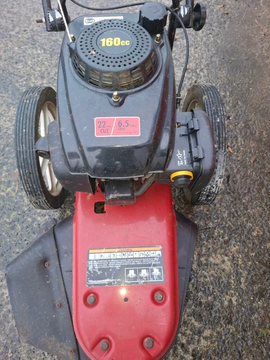 Walk behind strimmers - Image 4