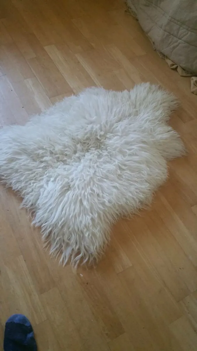 Sheepskin rug - Image 2