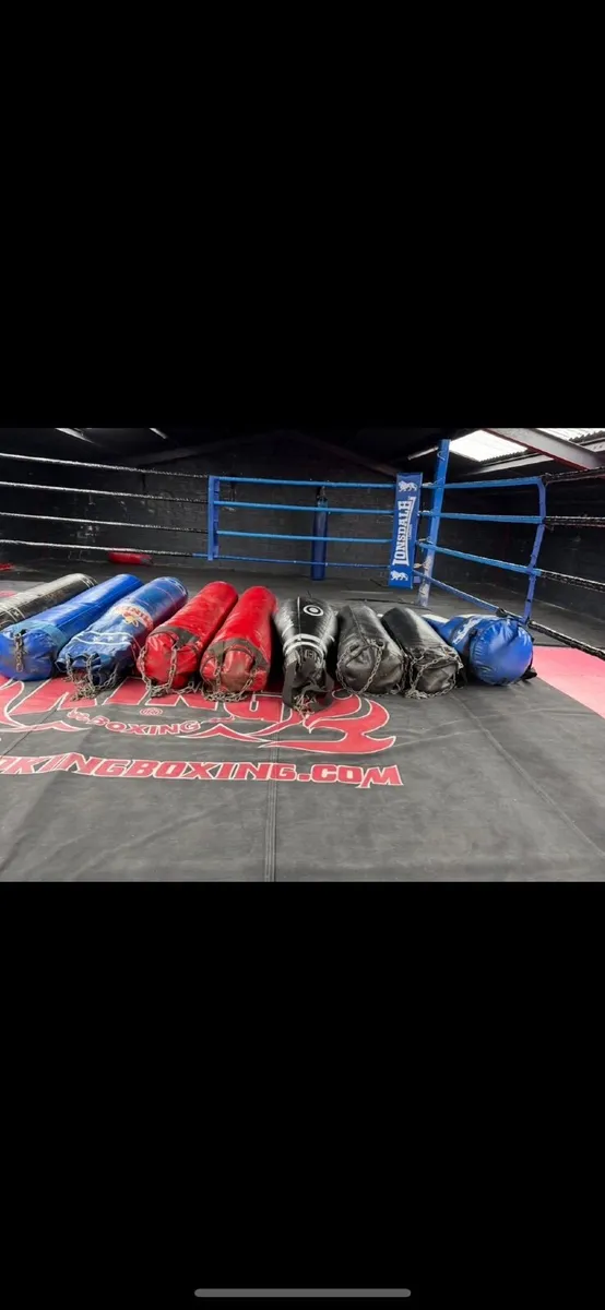 Boxing Ring & Equipment - Image 2
