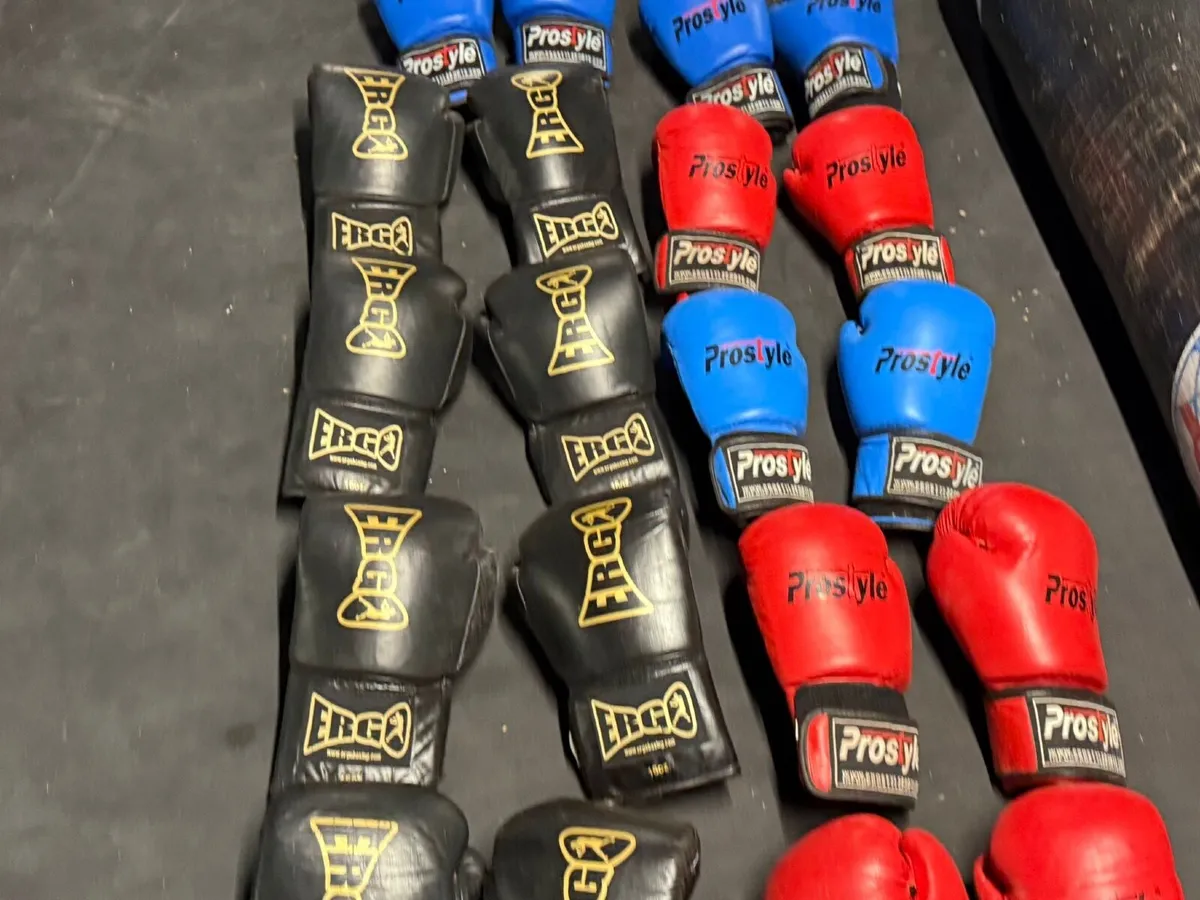 Boxing Ring & Equipment - Image 3