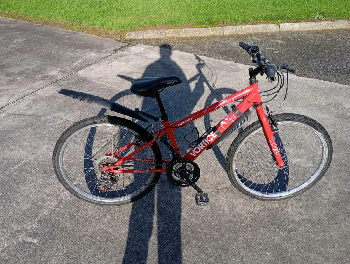 Kids Bicycle - Image 1