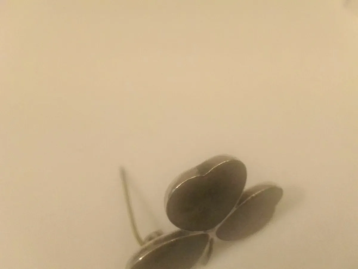 Victorian solid Silver marble shamrock brooch - Image 4